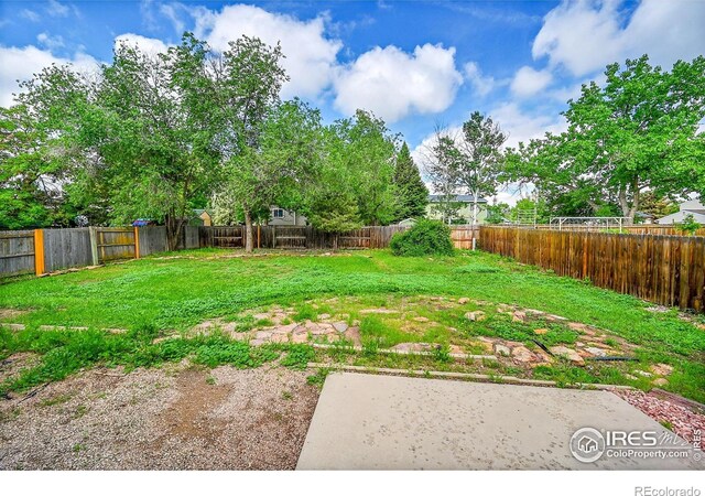 2113 Spencer St, Longmont, CO 80501 - photo 34