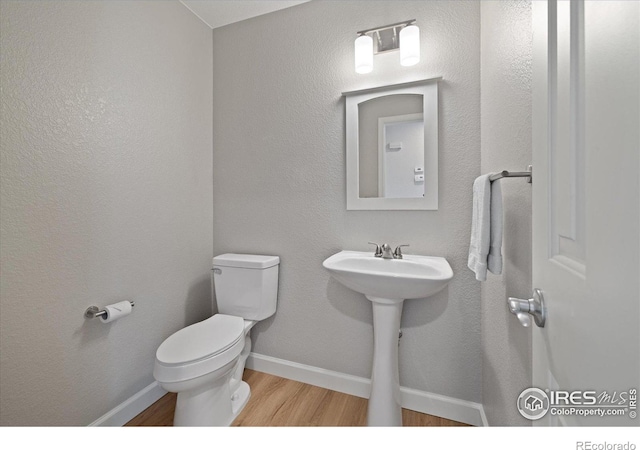 805 Summer Hawk Dr Unit C13, Longmont, CO 80504 - photo 16