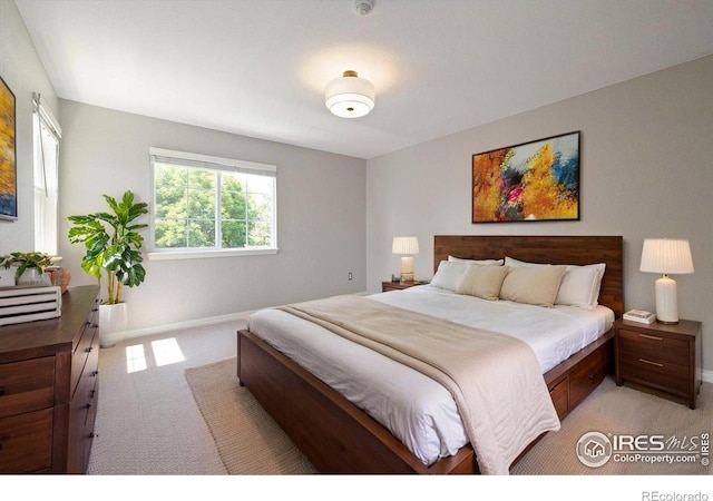 805 Summer Hawk Dr Unit C13, Longmont, CO 80504 - photo 20