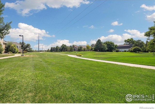 805 Summer Hawk Dr Unit C13, Longmont, CO 80504 - photo 30