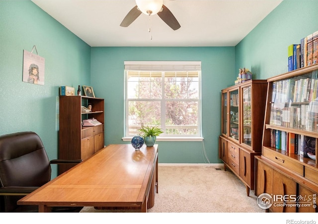 825 Dakota Ln, Erie, CO 80516 - photo 17