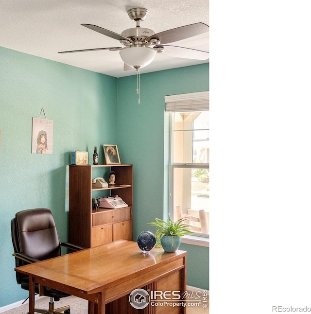825 Dakota Ln, Erie, CO 80516 - photo 18