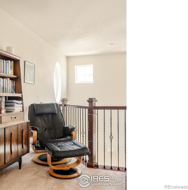 825 Dakota Ln, Erie, CO 80516 - photo 22