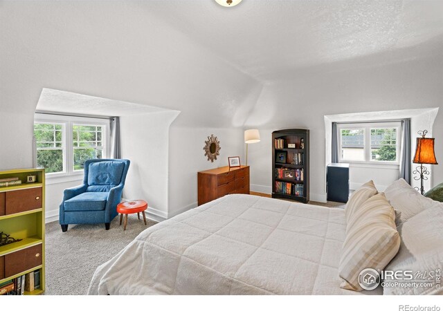 1548 6th Ave, Greeley, CO 80631 - photo 15