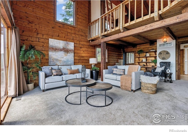 3907 Ridge Rd, Nederland, CO 80466 - photo 12