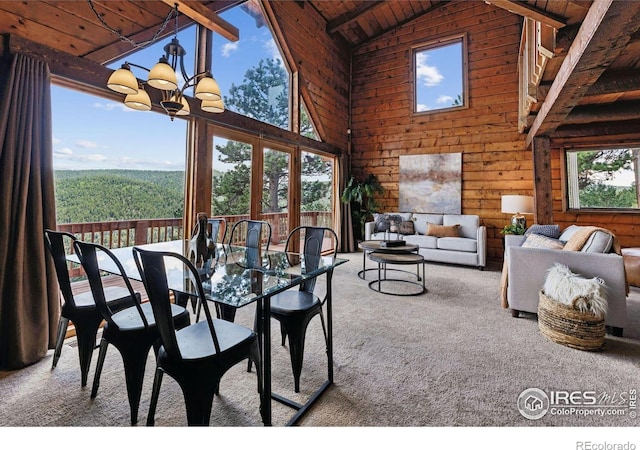 3907 Ridge Rd, Nederland, CO 80466 - photo 15