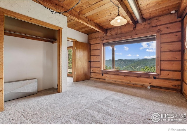 3907 Ridge Rd, Nederland, CO 80466 - photo 34