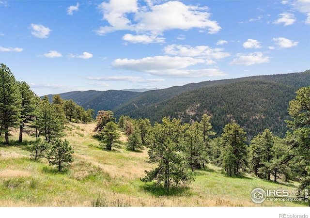 3907 Ridge Rd, Nederland, CO 80466 - photo 38