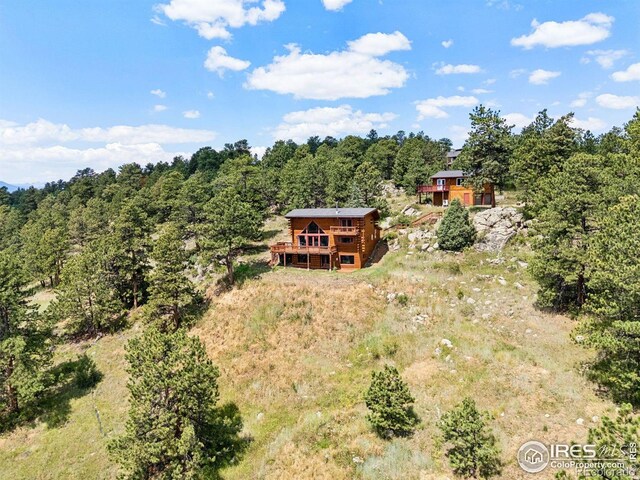 3907 Ridge Rd, Nederland, CO 80466 - photo 39