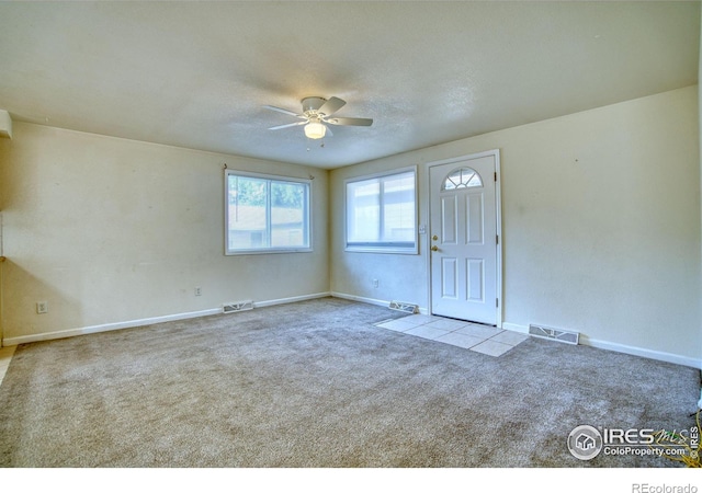 26 Durian Ct, Longmont, CO 80503 - photo 8