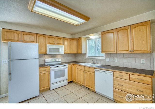 26 Durian Ct, Longmont, CO 80503 - photo 9