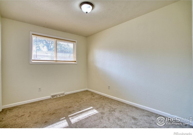 26 Durian Ct, Longmont, CO 80503 - photo 14
