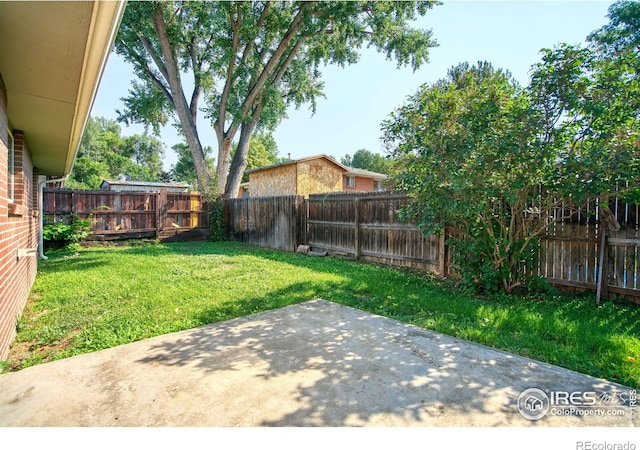 26 Durian Ct, Longmont, CO 80503 - photo 19