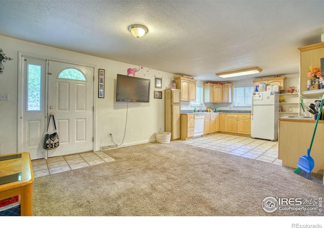 26 Durian Ct, Longmont, CO 80503 - photo 21