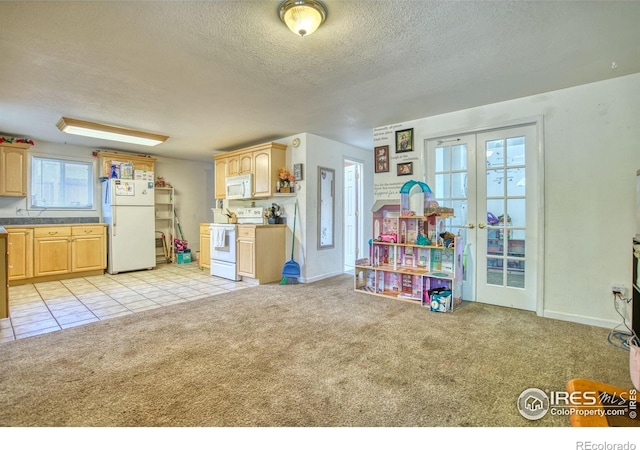 26 Durian Ct, Longmont, CO 80503 - photo 22