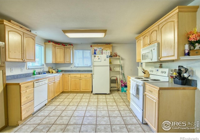 26 Durian Ct, Longmont, CO 80503 - photo 23