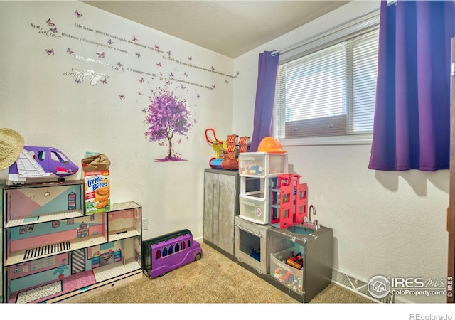 26 Durian Ct, Longmont, CO 80503 - photo 24