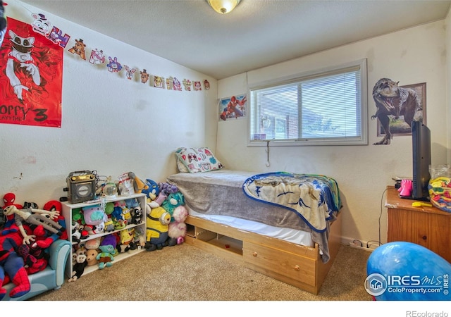 26 Durian Ct, Longmont, CO 80503 - photo 25