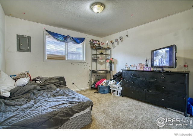 26 Durian Ct, Longmont, CO 80503 - photo 26