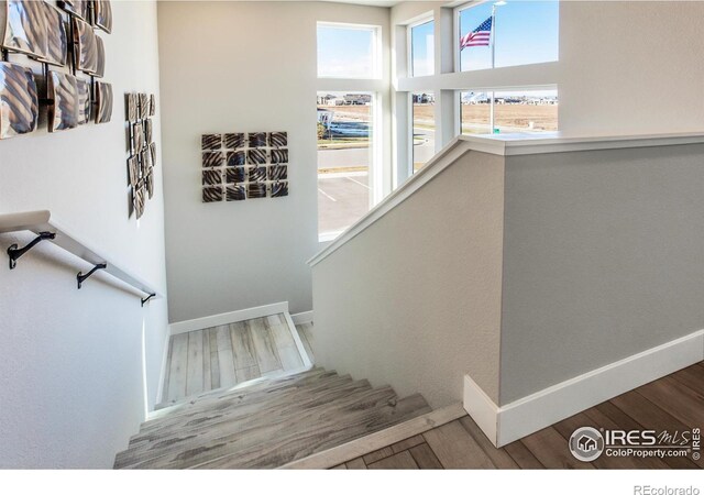 6113 Saddle Horn Dr, Timnath, CO 80547 - photo 23