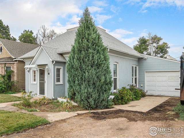 121 Elm Ave, Eaton, CO 80615 - photo 5