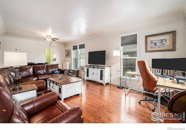 121 Elm Ave, Eaton, CO 80615 - photo 6
