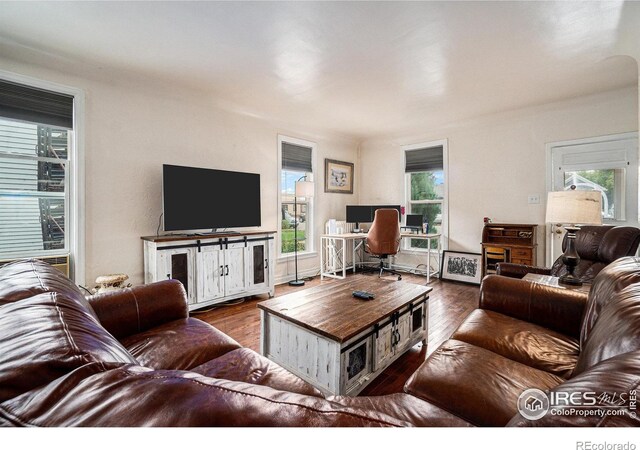 121 Elm Ave, Eaton, CO 80615 - photo 8