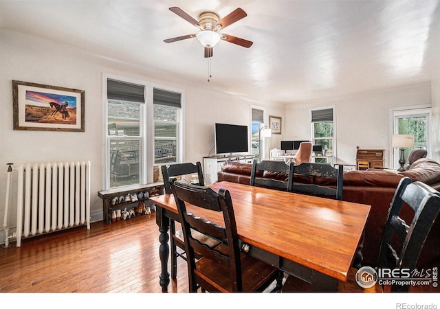 121 Elm Ave, Eaton, CO 80615 - photo 10