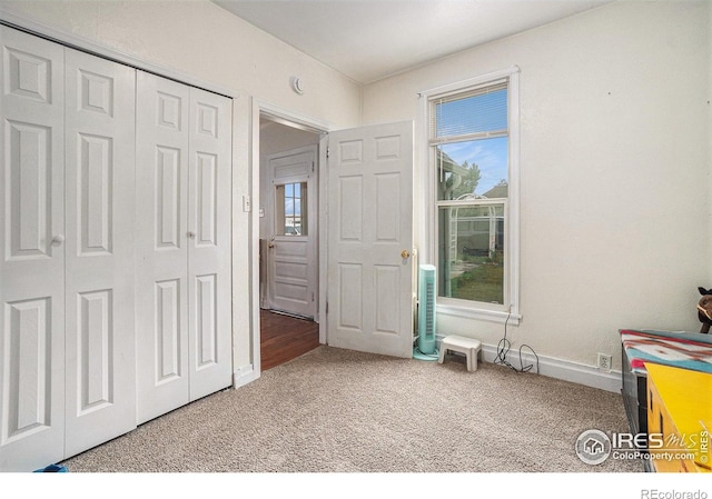 121 Elm Ave, Eaton, CO 80615 - photo 22