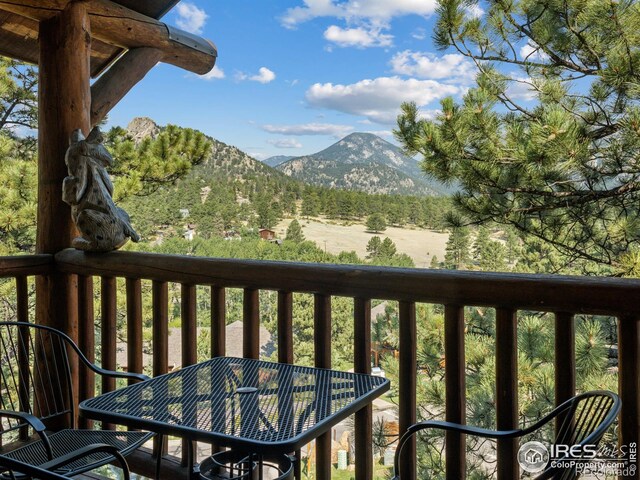 198 Twin Owls Ln Unit 3, Estes Park, CO 80517 - photo 11