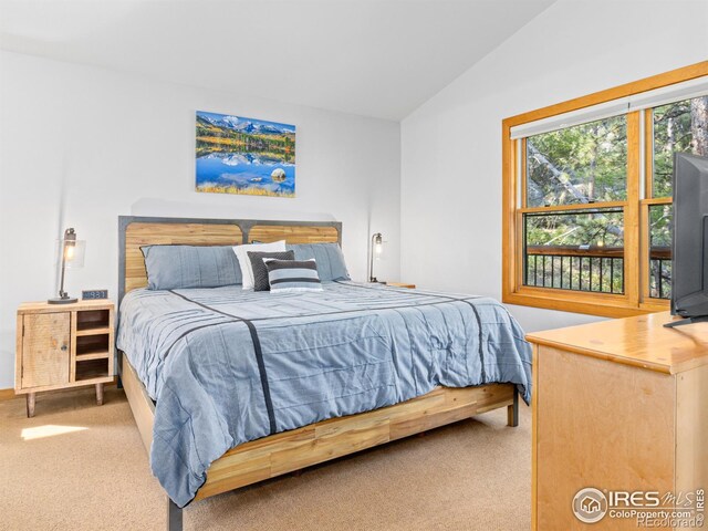 198 Twin Owls Ln Unit 3, Estes Park, CO 80517 - photo 12