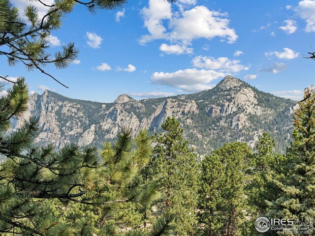 198 Twin Owls Ln Unit 3, Estes Park, CO 80517 - photo 21
