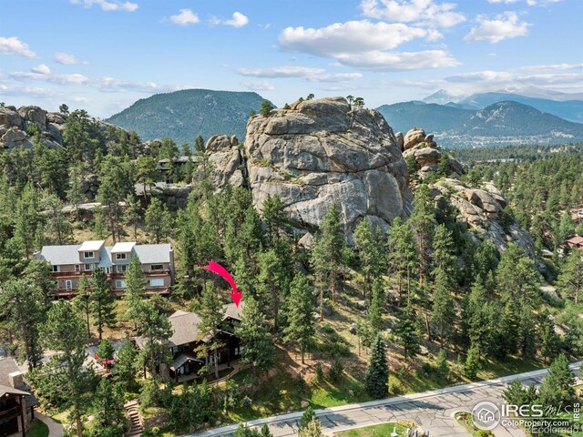 198 Twin Owls Ln Unit 3, Estes Park, CO 80517 - photo 24