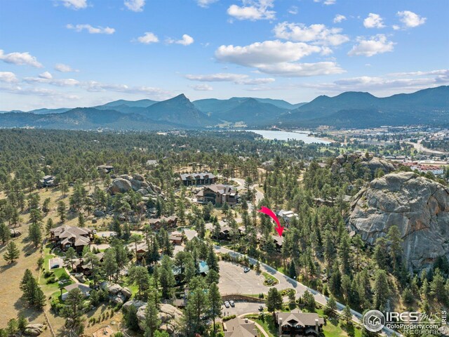 198 Twin Owls Ln Unit 3, Estes Park, CO 80517 - photo 26