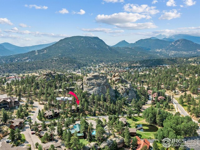 198 Twin Owls Ln Unit 3, Estes Park, CO 80517 - photo 28