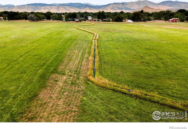 6789 Niwot Rd, Longmont, CO 80503 - photo 5