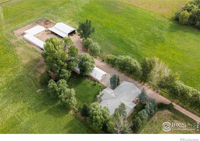 6789 Niwot Rd, Longmont, CO 80503 - photo 9