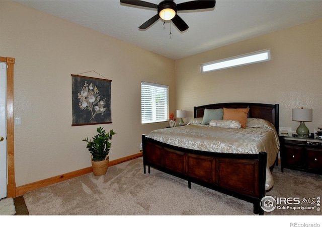 2910 45th Ave, Greeley, CO 80634 - photo 11