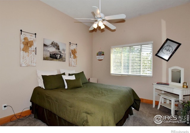 2910 45th Ave, Greeley, CO 80634 - photo 17