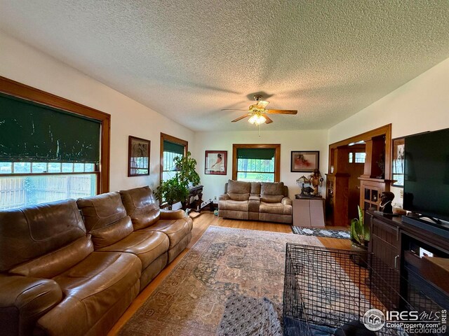406 S Morlan Ave, Holyoke, CO 80734 - photo 5