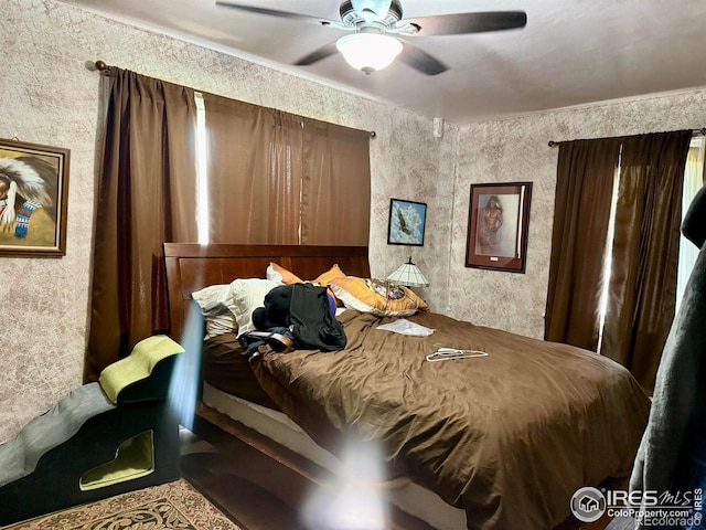 406 S Morlan Ave, Holyoke, CO 80734 - photo 22