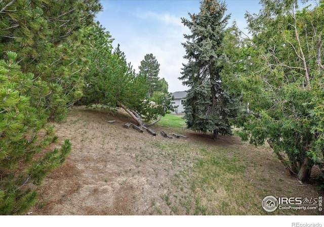 6220 W 74th Cir, Arvada, CO 80003 - photo 27