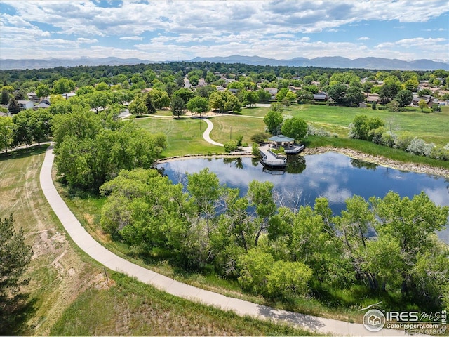 6220 W 74th Cir, Arvada, CO 80003 - photo 28