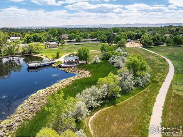 6220 W 74th Cir, Arvada, CO 80003 - photo 30