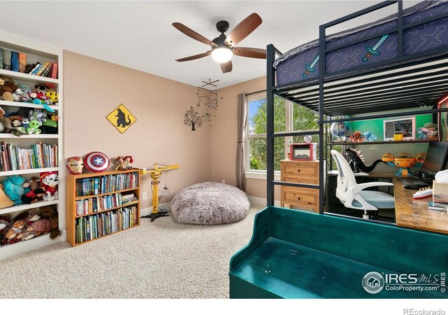 7344 Bay Tree St, Wellington, CO 80549 - photo 22