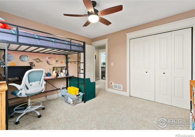 7344 Bay Tree St, Wellington, CO 80549 - photo 23
