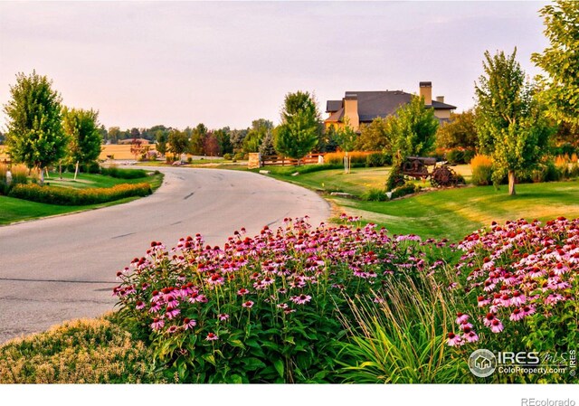 12924 Woodridge Dr, Longmont, CO 80504
