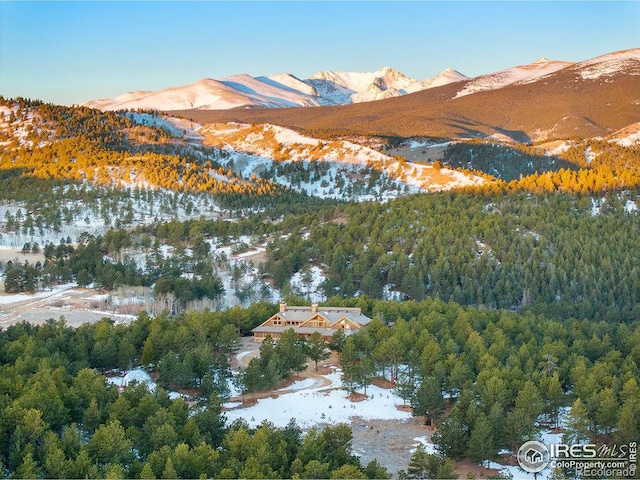 mountain view with a view of trees