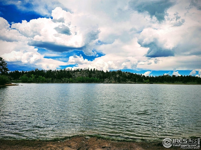 121 Pine Nut Ln, Red Feather Lakes, CO 80545 - photo 37