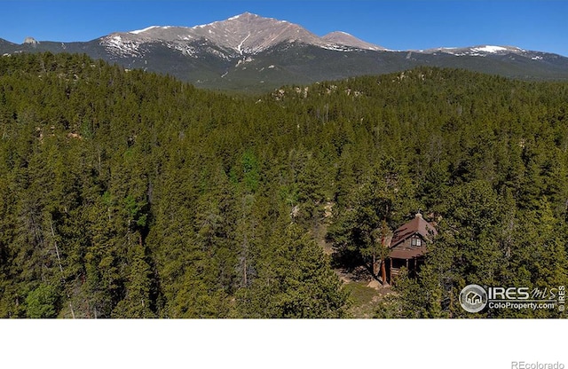 Listing photo 3 for 1217 Big Owl Rd, Allenspark CO 80510